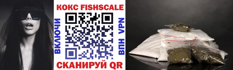 Кокаин Fish Scale  Купить закладки  Завитинск 