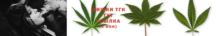 стафф Киреевск