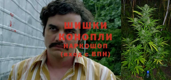 трава Киренск