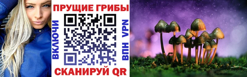 Купить закладки  Завитинск  Псилоцибиновые грибы MAGIC MUSHROOMS 